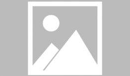 网红与明星的区别,数字时代下的身份差异解析